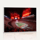 Ohio State University Buckeyes Football Team Print -