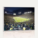 University of Oregon Ducks Football Team Print - Eugene