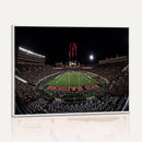 Framed Texas Tech Red Raiders Stadium Canvas, Texas Tech Red