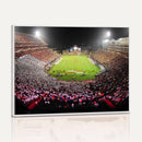 University of Maryland Terrapins Football Team Print -