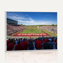 Ball State Cardinals Football Team Print - Muncie Scheumann