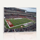 The Temple University Owls Athletics Team Print -