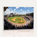 The Texas A&M University Aggies Athletics Team Print -