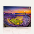 The Louisiana State University Tigers Football Team Print -