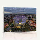 The Louisiana State University Tigers Football Team Print -