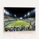 The Tulane University Green Wave Football Team Print - New