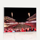 Oregon State Beavers Football Team Print - Corvallis Reser