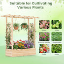 45 inch Tall Wooden Raised Garden Bed with Side Trellis and Hanging Roof by LJGDeals