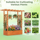 45 inch Tall Wooden Raised Garden Bed with Side Trellis and Hanging Roof by LJGDeals