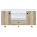 Yesler - 2 Door Storage Cabinet - White