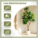 6FT Artificial Fiddle Leaf Fig Tree with White Pot