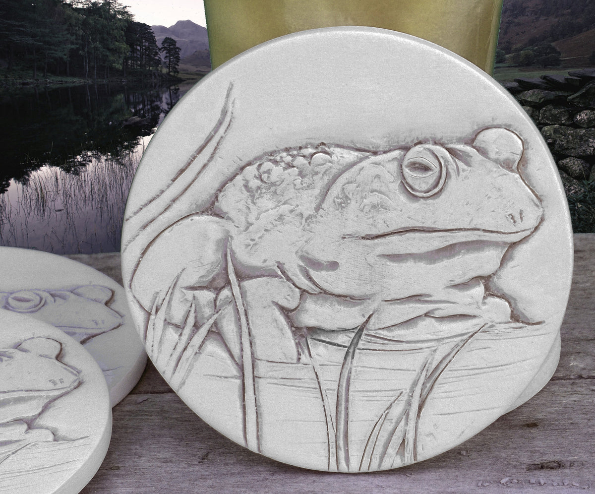 Frog Drink Coasters, installed in a room