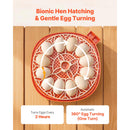 12 Egg Incubator with Automatic Egg Turner and LED Candler by HouseOfZazla