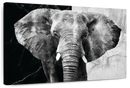 Elephant Black And White Wall Art
