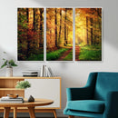 Sunlight Through Trees Wall Art Canvas Print - Autumn Forest
