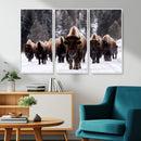 Bison Wall Art Canvas Print- Bison Herd Canvas Wall Art – by MyGreatCanvas | Canvas Wall Art Prints | Photo Prints & Wall Decor