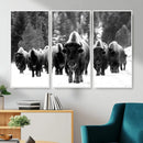 Bison Herd in Snow Wall Art Canvas Print | Rustic Western