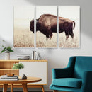 Bison in Field Wall Art Canvas Print For Farmhouse Barn