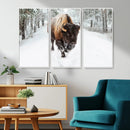 Bison Wall Art Canvas Print For Farmhouse, Animal Canvas