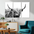 Black White Scottish Highland Cow Cattle Art Print Farmhouse