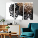 American Bison Wall Art Print – Majestic Buffalo Canvas