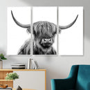 Scottish Highland Cow Cattle Art Print Wall Art Canvas Print