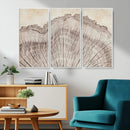 Tree Ring Wall Art Triptych, Rustic Wood Ring Canvas Print, by MyGreatCanvas | Canvas Wall Art Prints | Photo Prints & Wall Decor