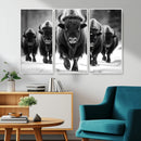 American Bison Art | Buffalo Herd Wall Art Canvas Print, BW