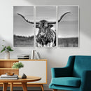 Texas Longhorn Cow Wall Art, Texas Longhorn Canvas, Cattle