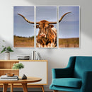 Texas Longhorn Wall Art Print, Framed Longhorn Cow Wall Art