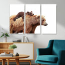 Mother and Baby Bear Canvas Wall Art - Adorable Wildlife