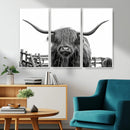 Longhorn Canvas Print, Bighorn Cow Wall Art Canvas Print