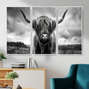 Scottish Cow Wall Art Canvas Print | Longhorn Wall Art |