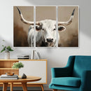 White Longhorn Bull Wall Art Canvas Print – Framed and Ready