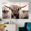Scottish Cow Longhorn Wall Art Canvas Print