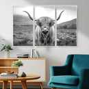 Black White Scottish Highland Cow Canvas Farm Wall Art