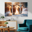 Scottish Highland Cow Horn Farm Wall Art Canvas Print