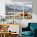 Highland Cow Horn Farm Wall Art Canvas Print