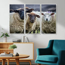 Charming Sheep Portrait Wall Art – Trio of Woolly Companions by MyGreatCanvas | Canvas Wall Art Prints | Photo Prints & Wall Decor