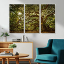 Ancient Angel Oak Tree Art Sunburst Canvas Print-