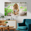 Leopard on the Prowl - Stunning Large Framed Leopard Wall