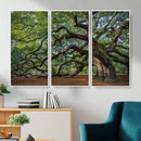 Historic Tree Wall Art – Framed Mossy Branch Canvas Artwork, by MyGreatCanvas | Canvas Wall Art Prints | Photo Prints & Wall Decor