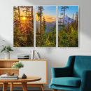 Forest Sunset Wall Art Canvas Print, Glowing Evening Light by MyGreatCanvas | Canvas Wall Art Prints | Photo Prints & Wall Decor