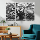 Ancient Oak Wall Art Canvas Print – Gnarled Tree Twisted by MyGreatCanvas | Canvas Wall Art Prints | Photo Prints & Wall Decor