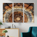Tree Rings Wall Art Canvas Print – Rustic Wood Texture