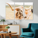 Texas Longhorn Wall Art Canvas Print – Framed Spotted Cow