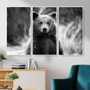 Grizzly Bear Wall Art Canvas Print – Framed Black White