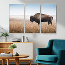 Wild Bison Wall Art – Framed Prairie Landscape Canvas by MyGreatCanvas | Canvas Wall Art Prints | Photo Prints & Wall Decor