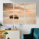 MyCanvas -