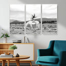 White Horse Wall Art Canvas Print – Framed Woman Rider